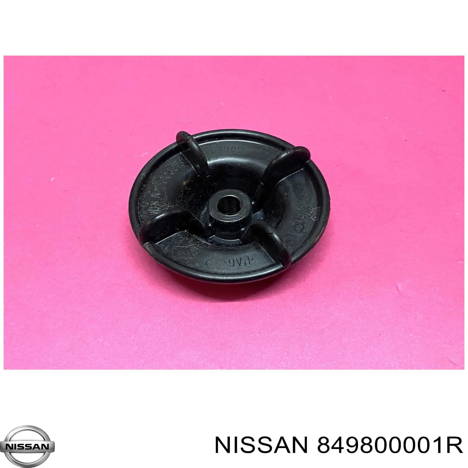  Nissan/Infiniti 849800001R