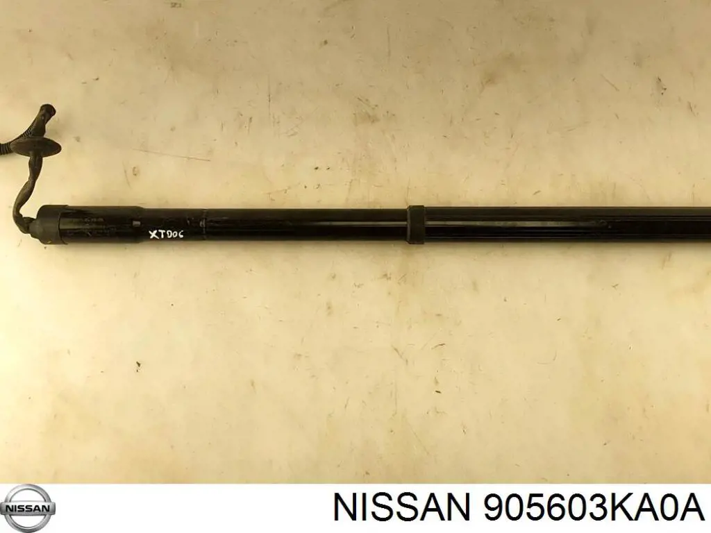 AENS033 NTY 