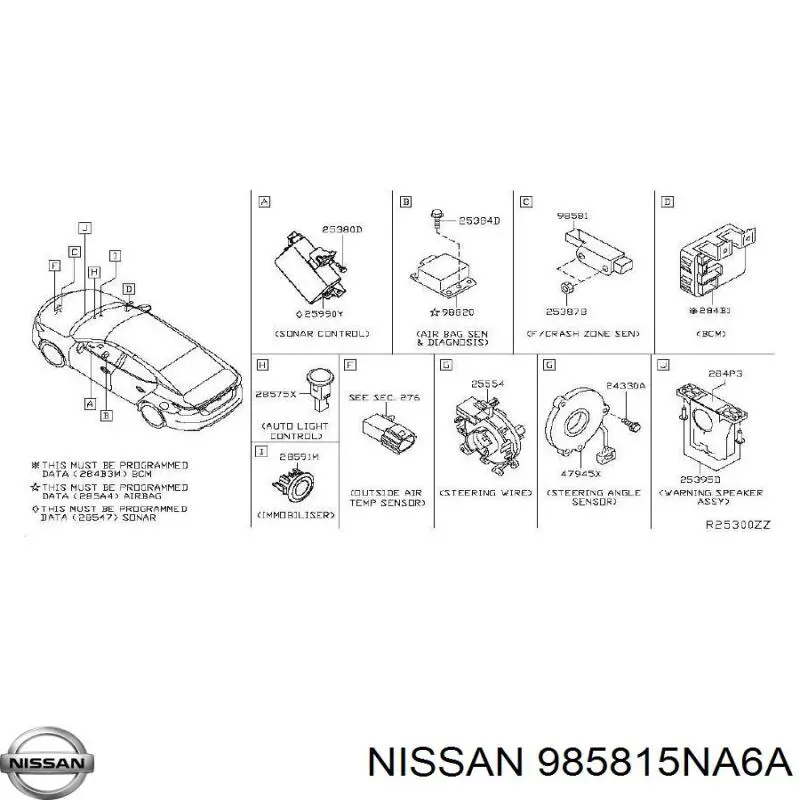 985815NA6A Nissan/Infiniti 