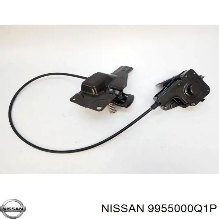  9955000Q1P Nissan