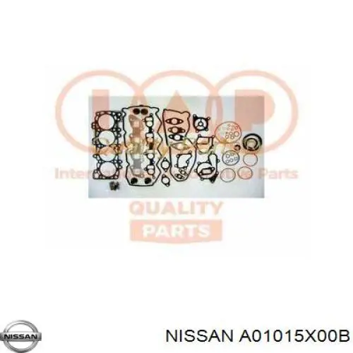 A01015X00B Nissan 