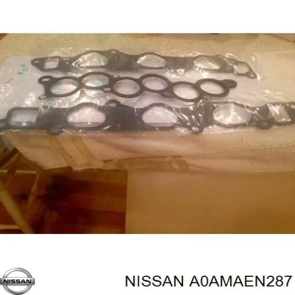 Комплект прокладок двигателя полный Nissan A0AMAEN287