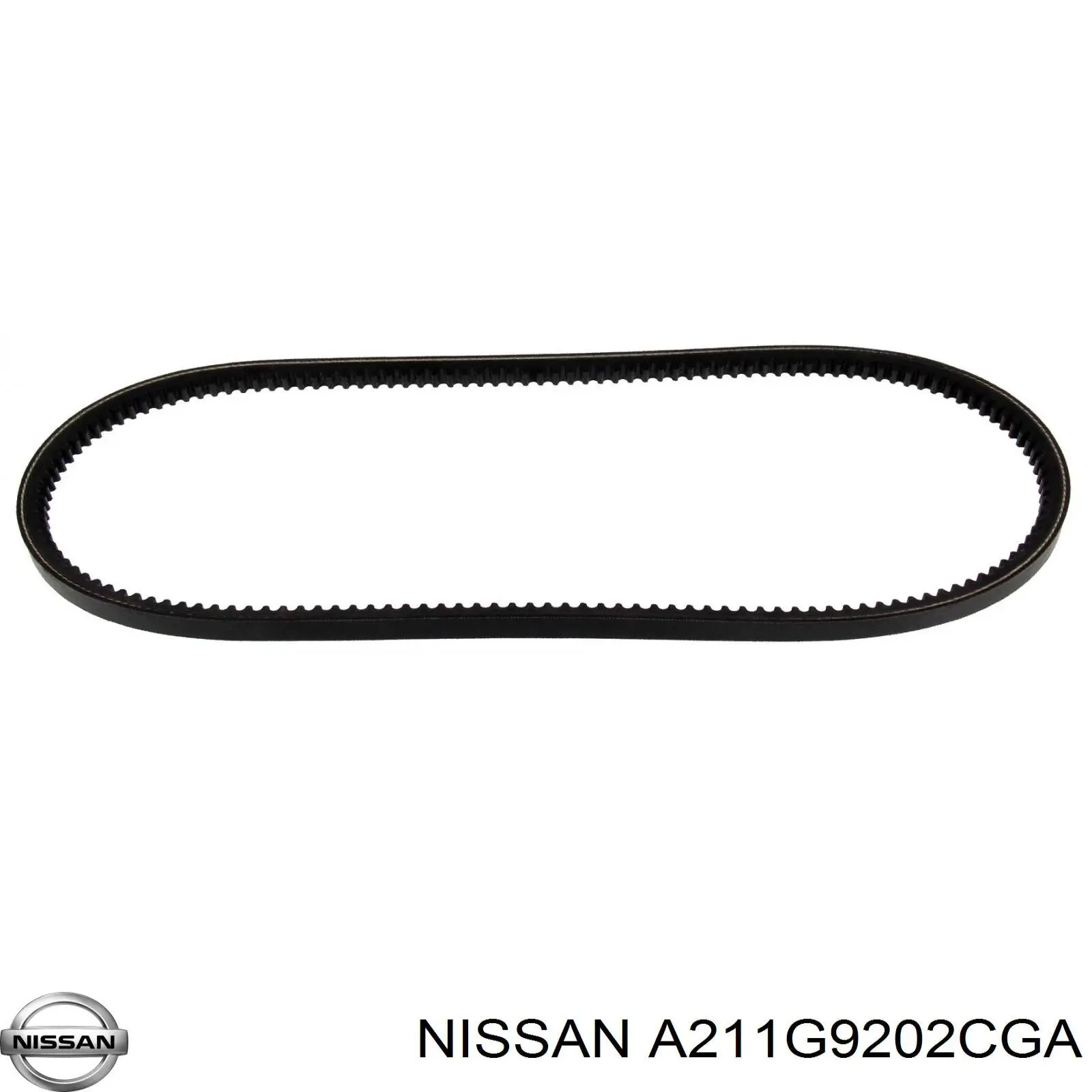 Ремень генератора A211G9202CGA Nissan