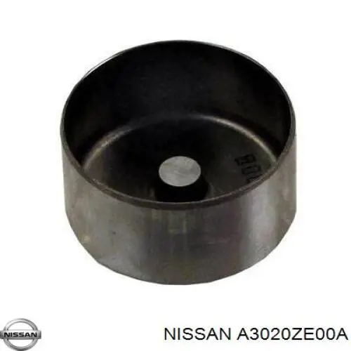  A3020ZE00A Nissan