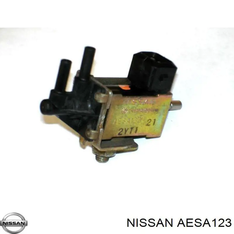  AESA123 Nissan