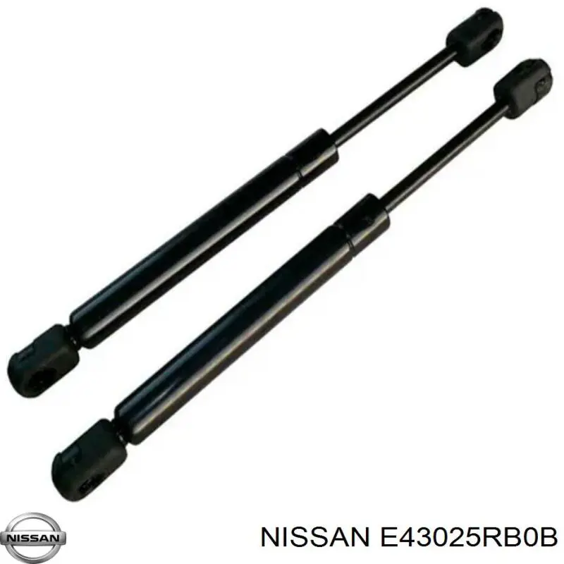 E43025RB0B Nissan/Infiniti Амортизатор передней подвески правый