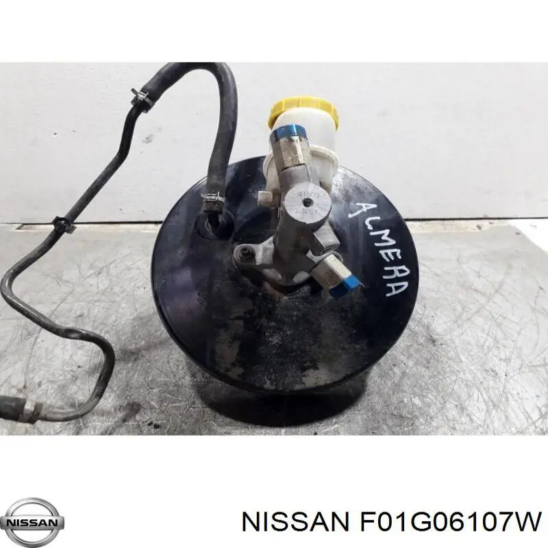  F01G06107W Nissan