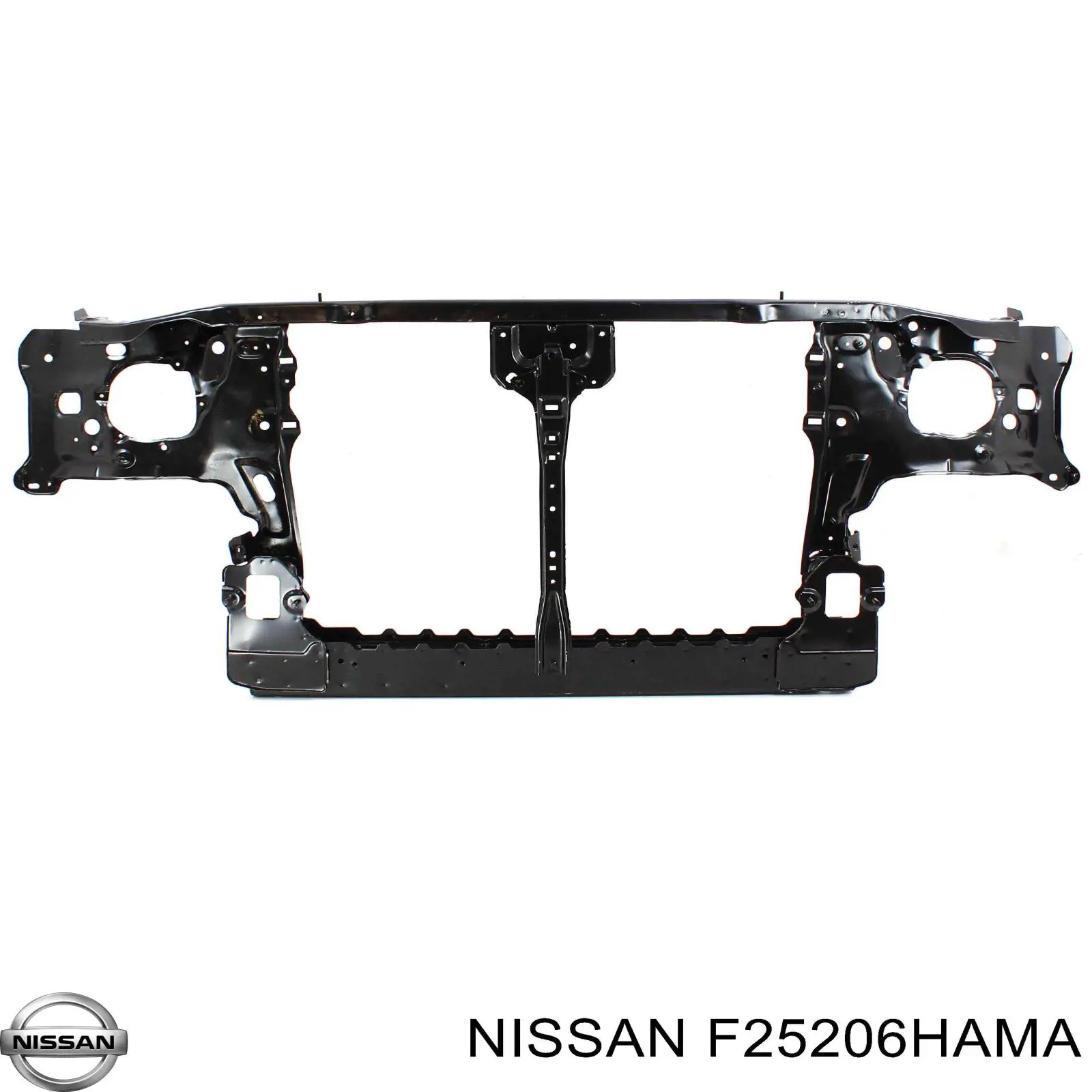 F25206HAMA Nissan 