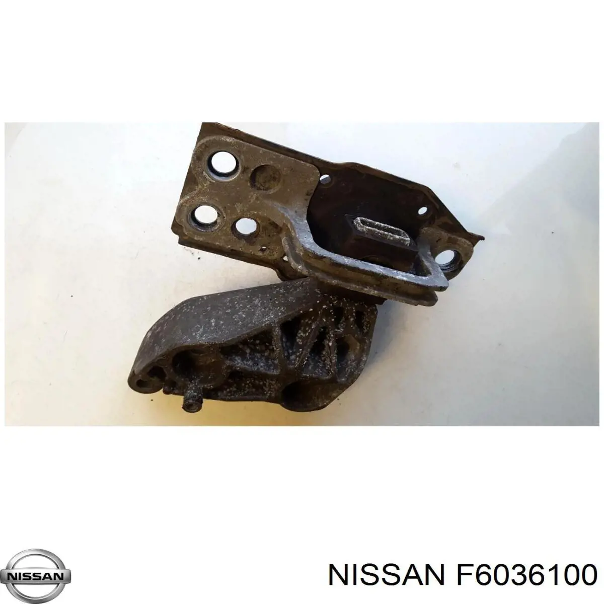  F6036100 Nissan