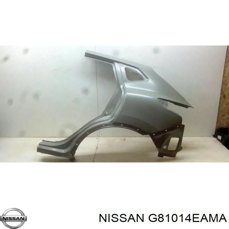 Pára-lama traseiro esquerdo para Nissan Qashqai (J11)