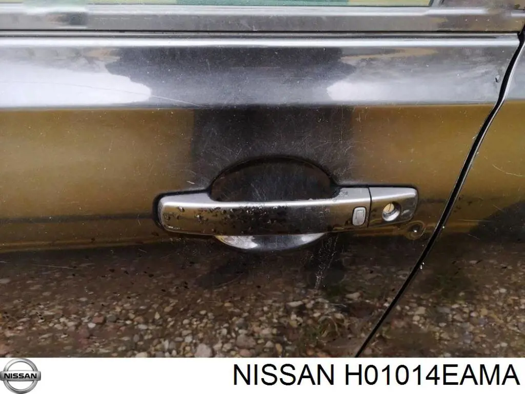Передняя левая дверь Nissan/Infiniti H01014EAMA цена, от 458.13 USD