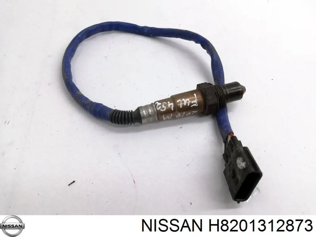 H8201312873 Nissan/Infiniti 