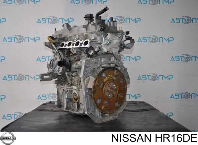 ДВС в сборе Nissan Qashqai I внедорожник (J10) (2006 - 2013) цена, от 633.47 USD