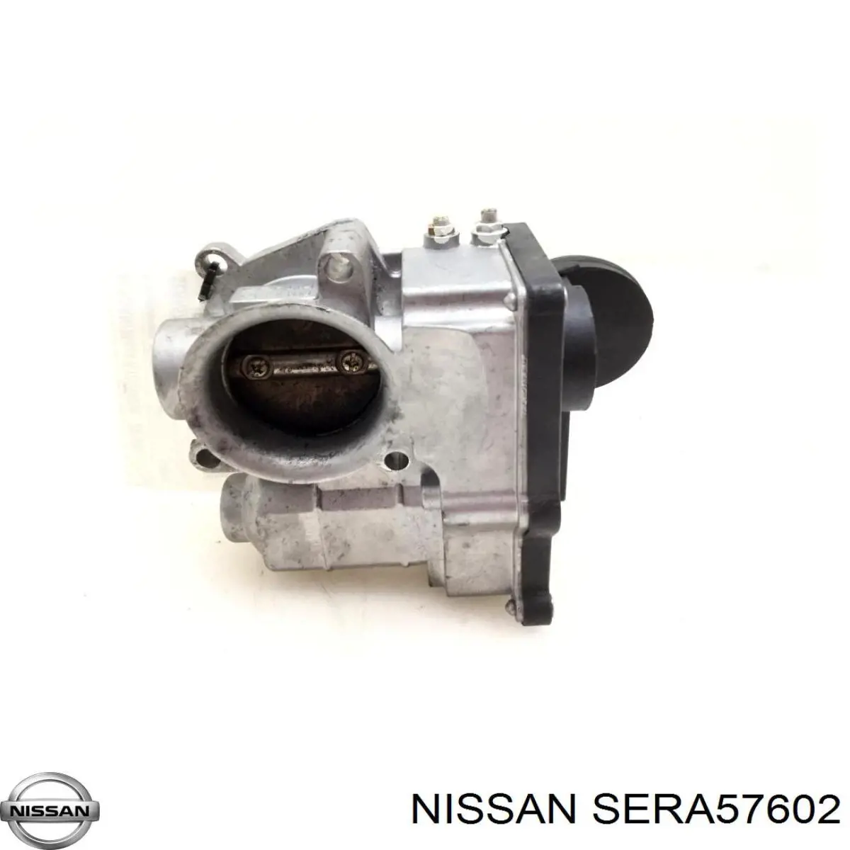  SERA57602 Nissan