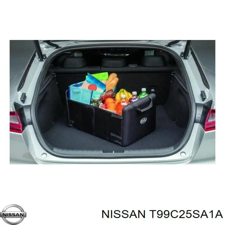  T99C25SA1A Nissan