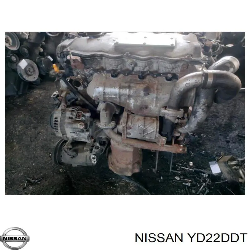 YD22DDT Nissan двигатель в сборе
