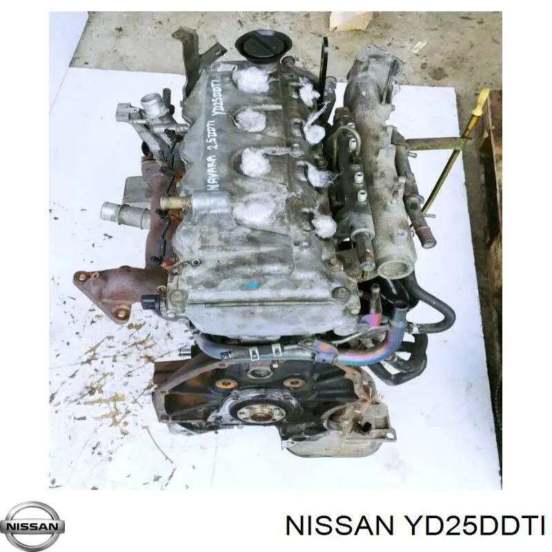 Контрактные двигатели Nissan Pathfinder III (R51M) 2.5 dCi YD25DDTi