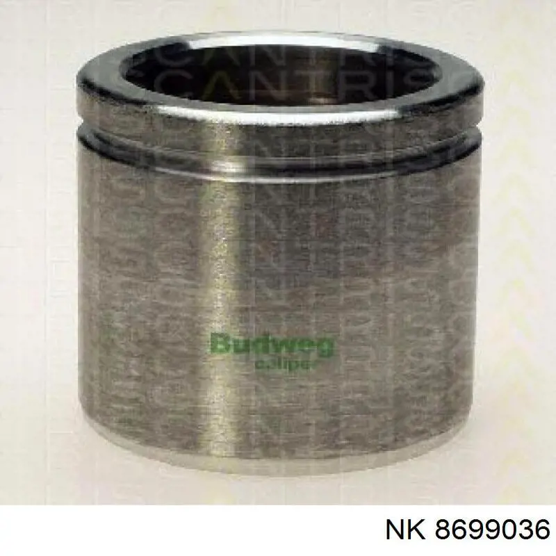 Поршень суппорта тормозного, заднего Goodrem RK815360 цена, от 3.03 USD