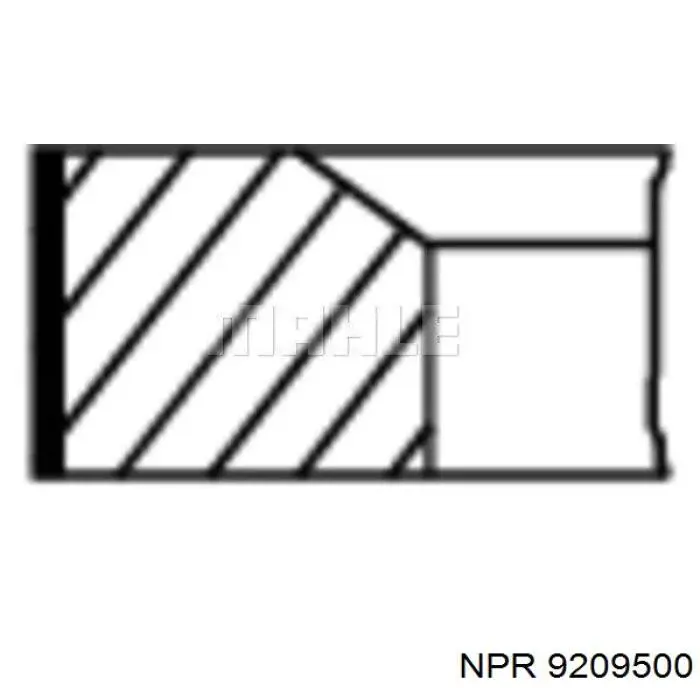 9209500 NE/NPR Поршневые кольца на 1 цилиндр, STD