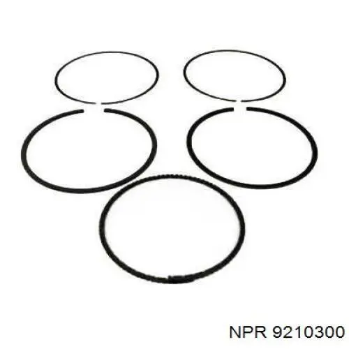 9210300 NE/NPR кольца поршневые на 1 цилиндр, std.