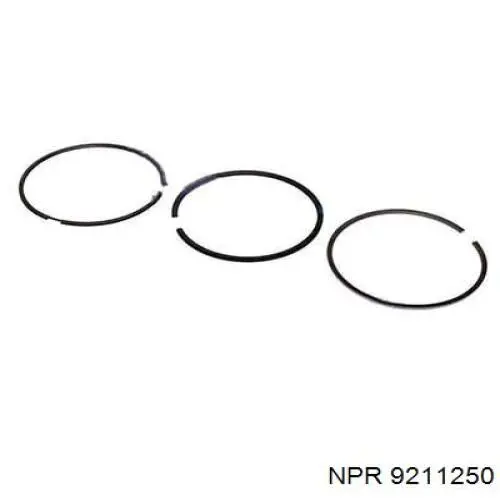 9211250 NE/NPR кольца поршневые на 1 цилиндр, 2-й ремонт (+0,50)