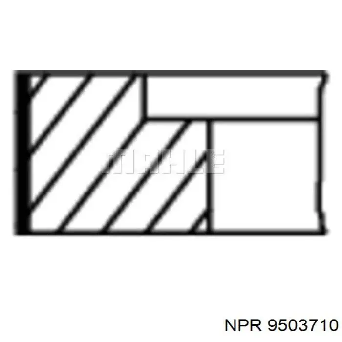 8950371000 NE/NPR кольца поршневые на 1 цилиндр, 4-й ремонт (+1,00)