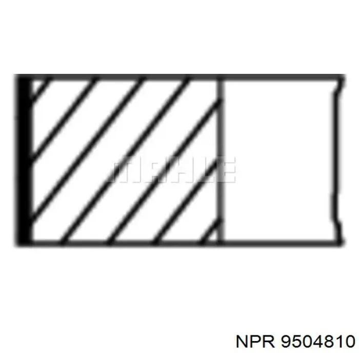 89-5048-1000 NE/NPR кольца поршневые на 1 цилиндр, 4-й ремонт (+1,00)