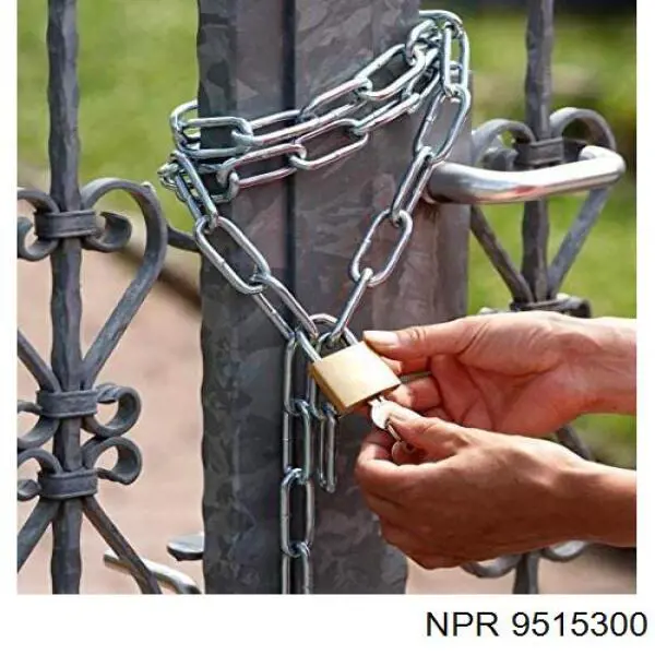9515300 NE/NPR кольца поршневые на 1 цилиндр, std.