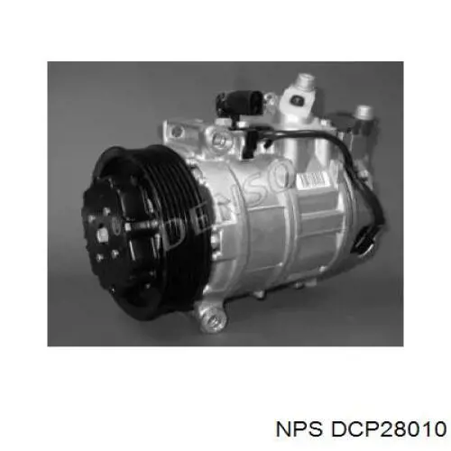 DCP28010 NPS