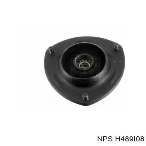 H489I08 NPS