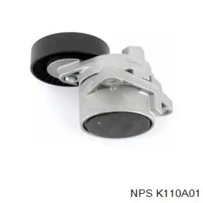 K110A01 NPS