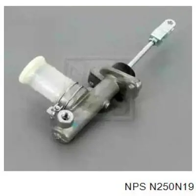 N250N19 NPS