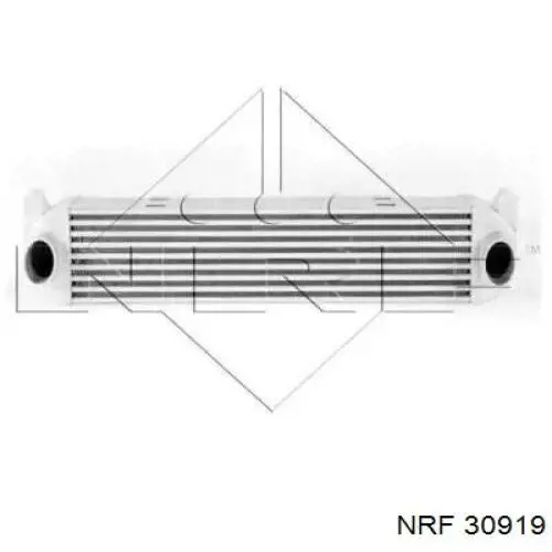 30919 NRF