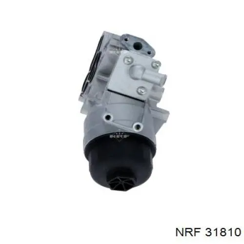  NRF 31810