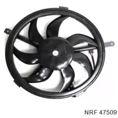 47509 NRF