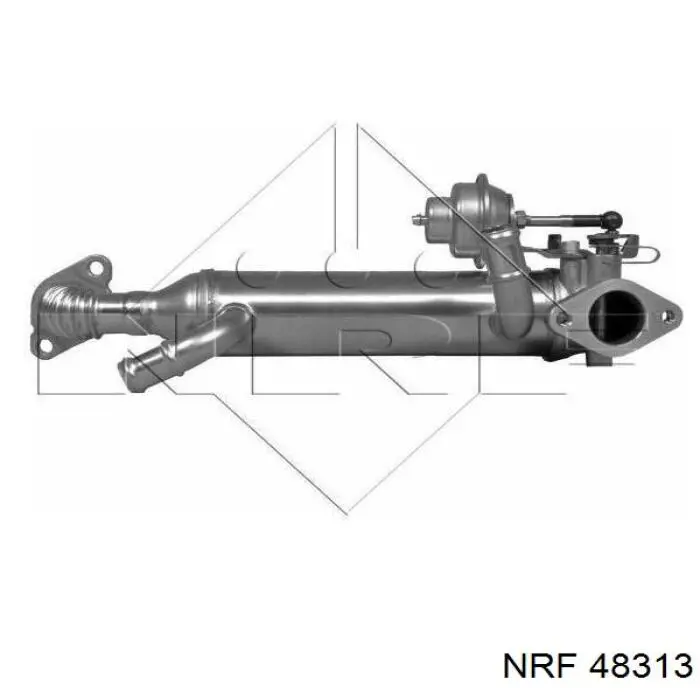 48313 NRF