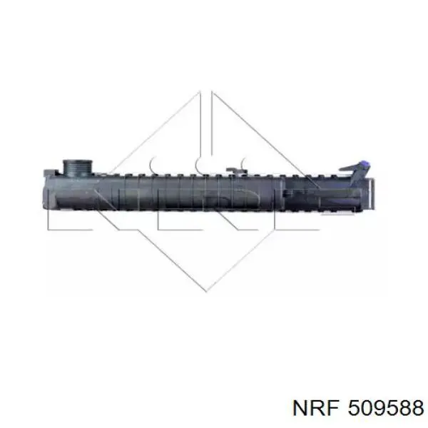 509588 NRF