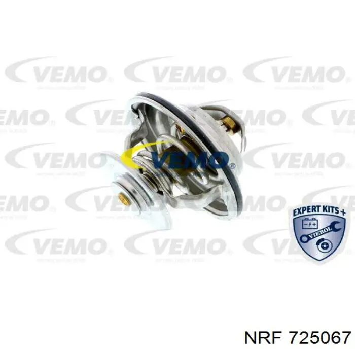 1025491 Ford termostato