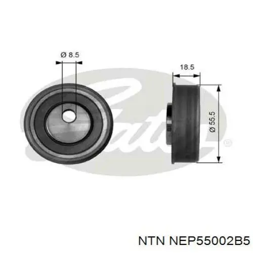 NEP55002B5 NTN