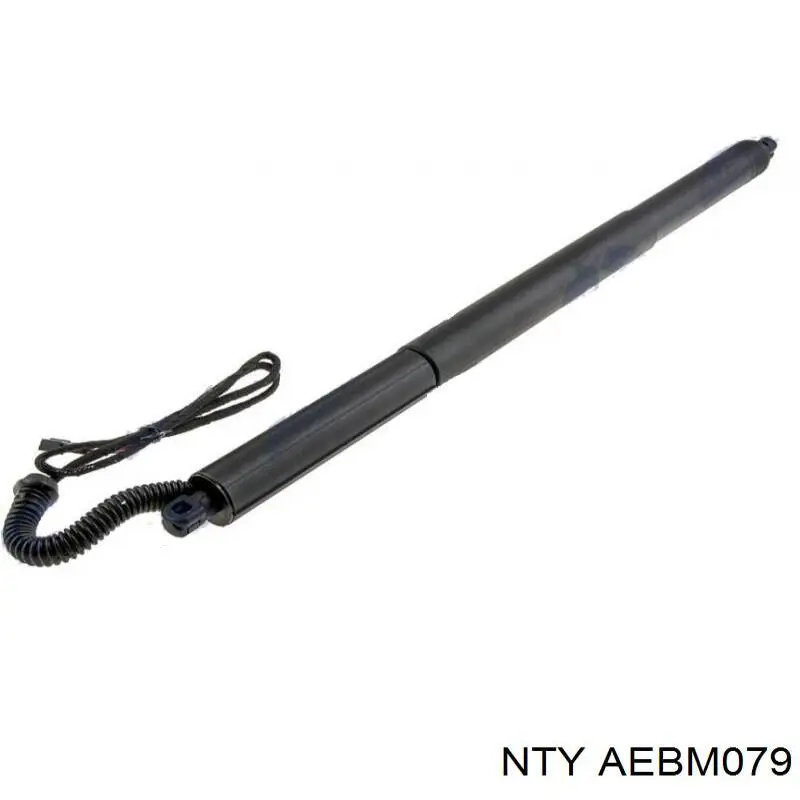 AEBM079 NTY