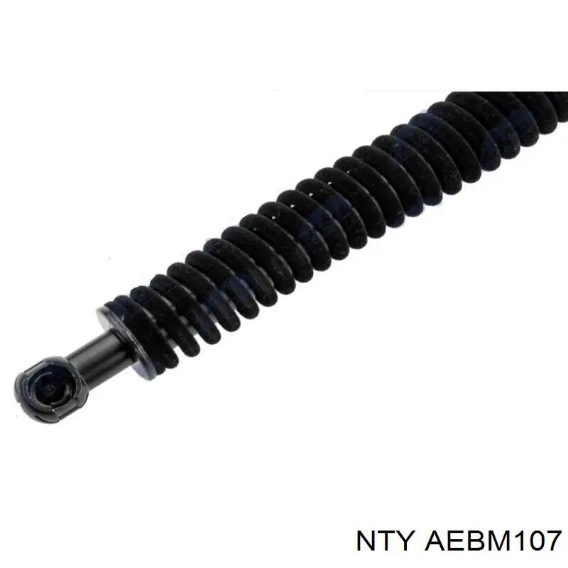  AEBM107 NTY