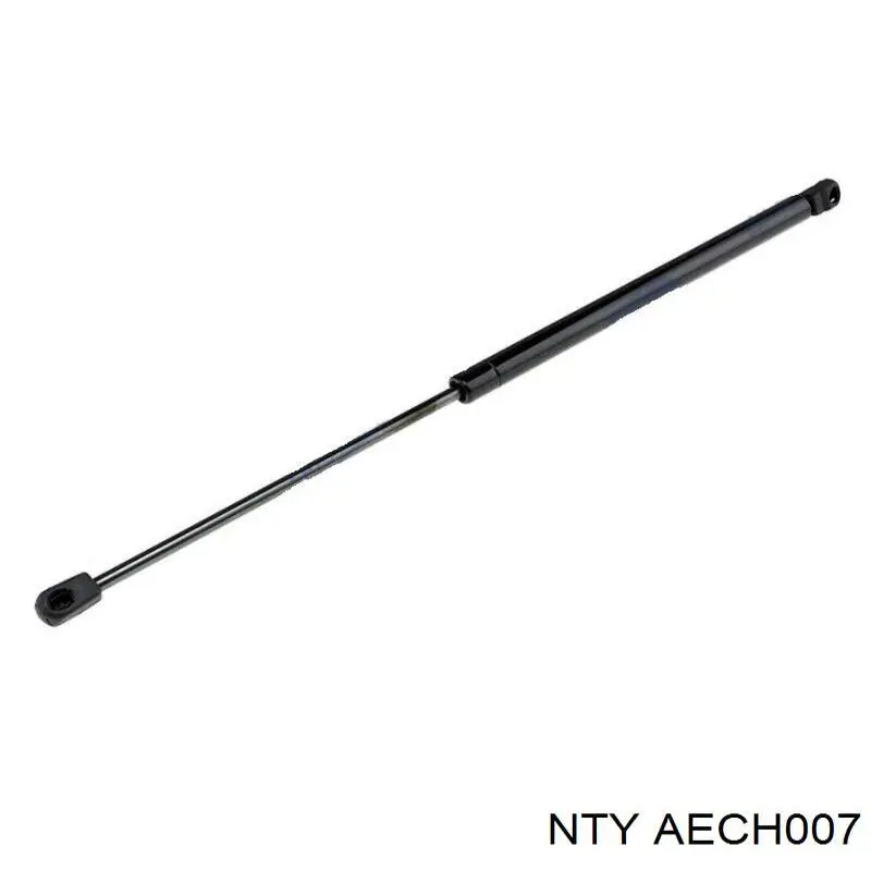 AECH007 NTY амортизатор багажника