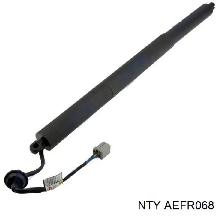 Амортизатор багажника AEFR068 NTY