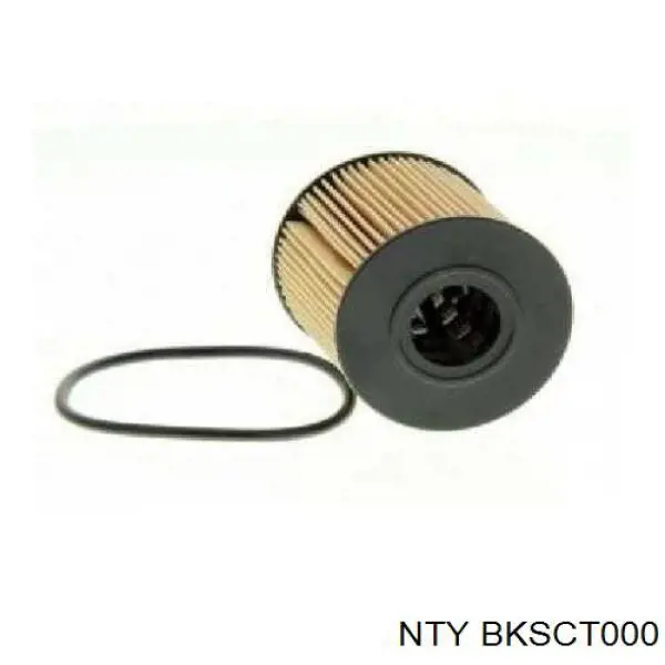 Впускной коллектор BKSCT000 NTY