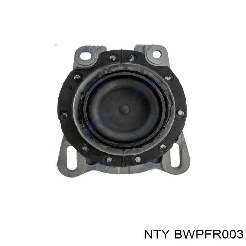 Форсунка впрыска AD BLUE BWPFR003 NTY