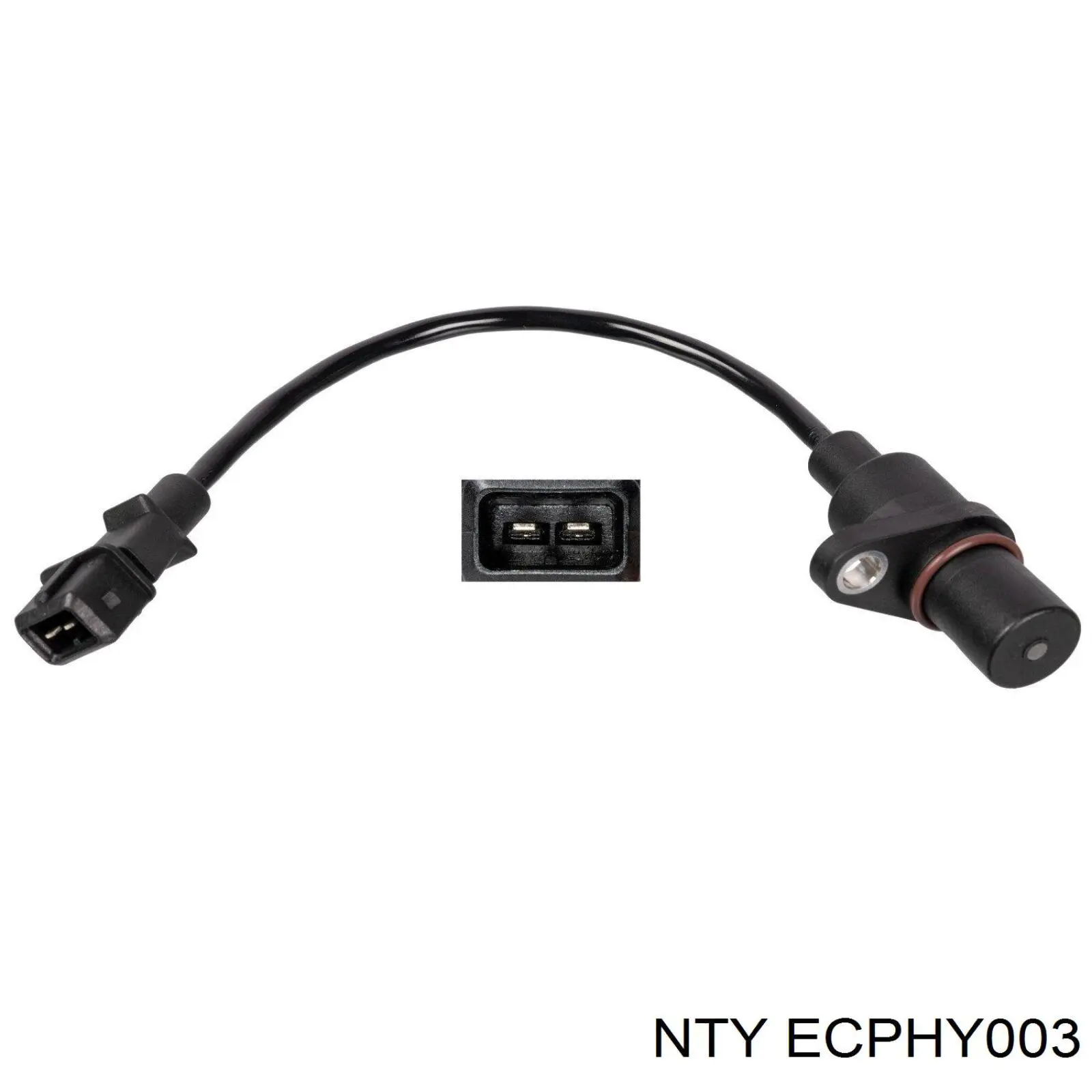ECPHY003 NTY