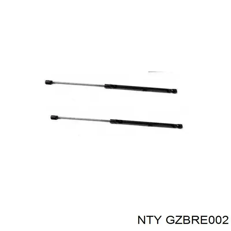  NTY GZBRE002
