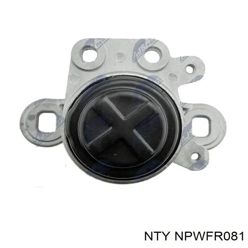  NTY NPWFR081