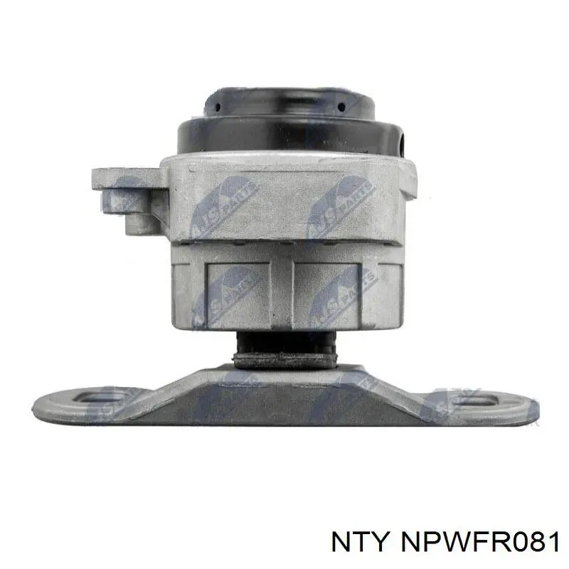 Купить NPWFR081 NTY 