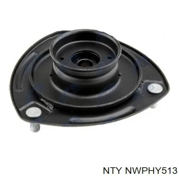 NWPHY513 NTY
